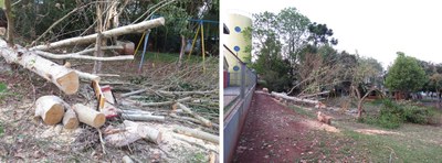 Dezenas de moradores do Bairro Santa Lucia questionaram os motivos da derrubada das árvores e não realizaram de reunião para ouvir a opinião de todos.