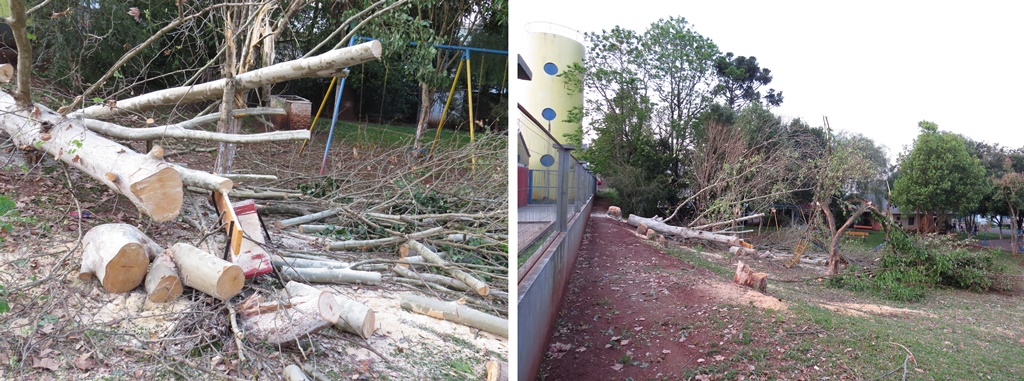 Dezenas de moradores do Bairro Santa Lucia questionaram os motivos da derrubada das árvores e não realizaram de reunião para ouvir a opinião de todos.